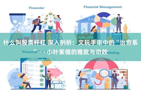 什么叫股票杆杠 深入剖析：文玩手串中的“治愈系”——小叶紫檀的雅致与功效