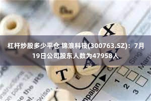 杠杆炒股多少平仓 锦浪科技(300763.SZ)：7月19日公司股东人数为47958人