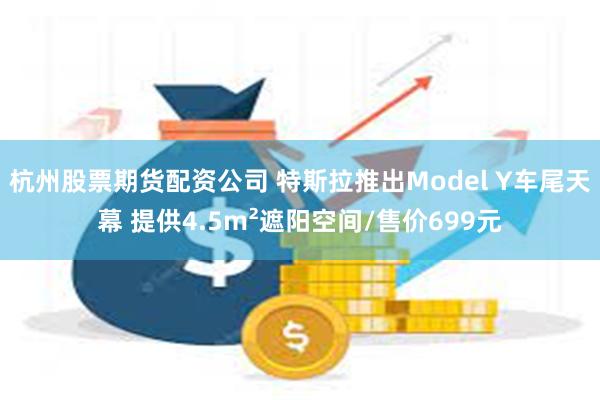 杭州股票期货配资公司 特斯拉推出Model Y车尾天幕 提供4.5m²遮阳空间/售价699元