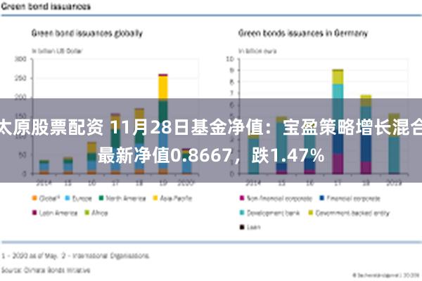 太原股票配资 11月28日基金净值：宝盈策略增长混合最新净值0.8667，跌1.47%