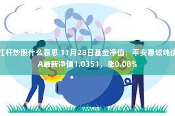 杠杆炒股什么意思 11月28日基金净值：平安惠诚纯债A最新净值1.0351，涨0.08%