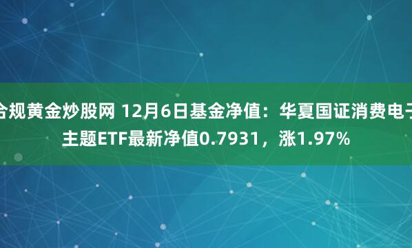 合规黄金炒股网 12月6日基金净值：华夏国证消费电子主题ETF最新净值0.7931，涨1.97%