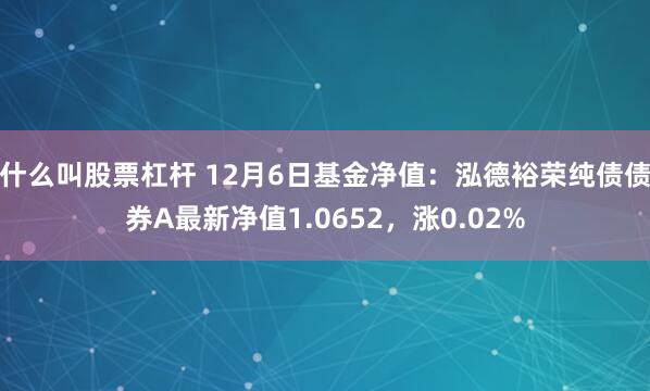 什么叫股票杠杆 12月6日基金净值：泓德裕荣纯债债券A最新净值1.0652，涨0.02%