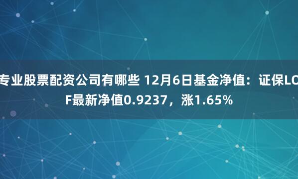 专业股票配资公司有哪些 12月6日基金净值：证保LOF最新净值0.9237，涨1.65%