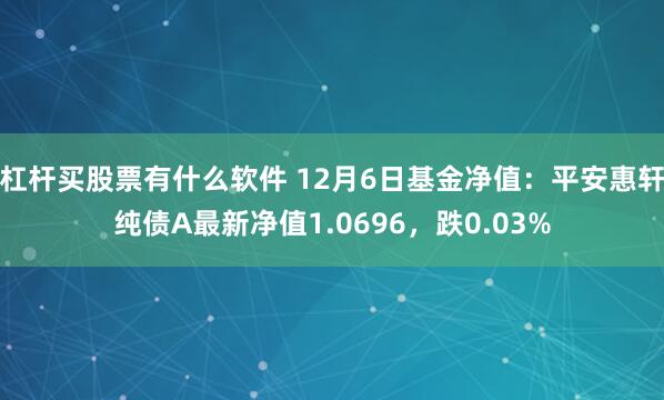 杠杆买股票有什么软件 12月6日基金净值：平安惠轩纯债A最新净值1.0696，跌0.03%