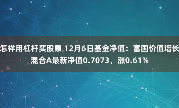 怎样用杠杆买股票 12月6日基金净值：富国价值增长混合A最新净值0.7073，涨0.61%