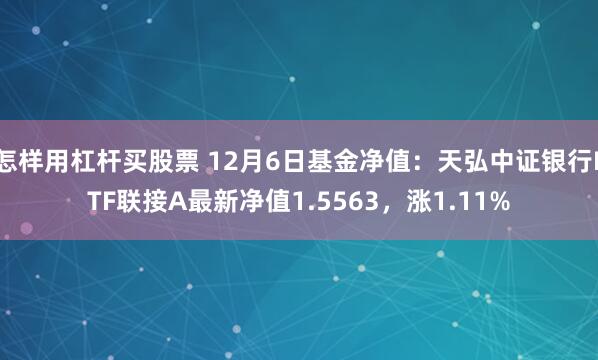 怎样用杠杆买股票 12月6日基金净值：天弘中证银行ETF联接A最新净值1.5563，涨1.11%