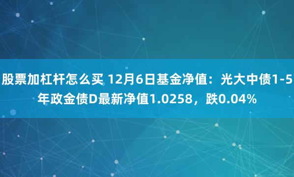 股票加杠杆怎么买 12月6日基金净值：光大中债1-5年政金债D最新净值1.0258，跌0.04%