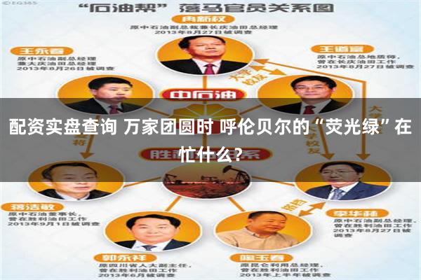 配资实盘查询 万家团圆时 呼伦贝尔的“荧光绿”在忙什么？