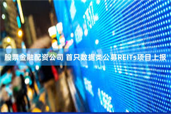 股票金融配资公司 首只数据类公募REITs项目上报